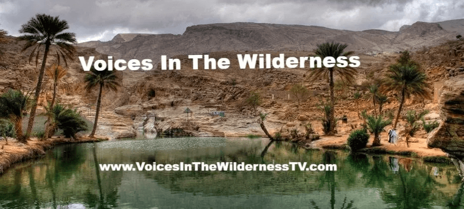 Voices in The Wilderness